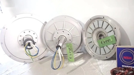 3kw 100rpm Disc Coreless Axial Flux Pmg with BV